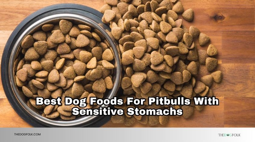 best dog foods for pitbulls with sensitive stomachs