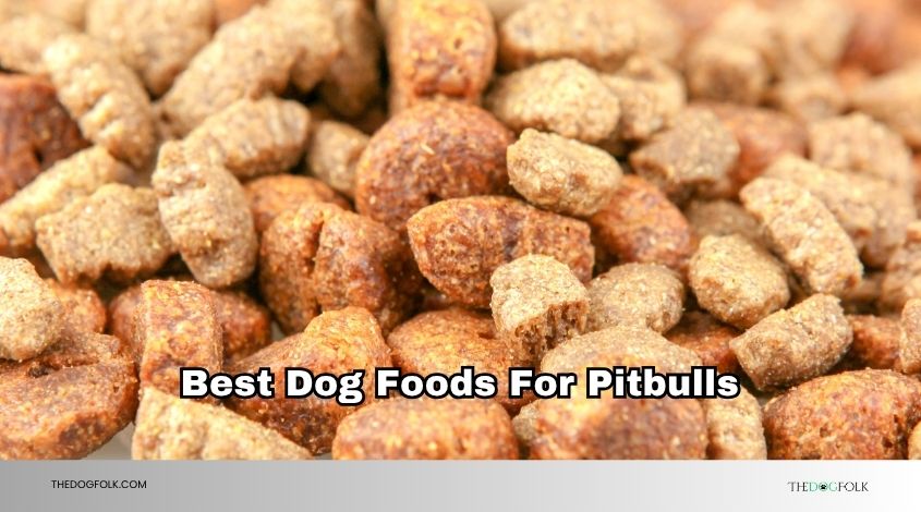 best dog foods for pitbulls