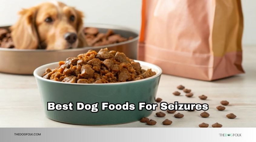 best dog foods for seizures
