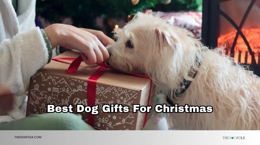 best dog gifts for christmas