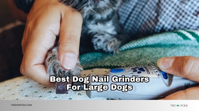 best dog nail grinders for large dogs