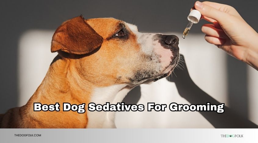 best dog sedatives for grooming