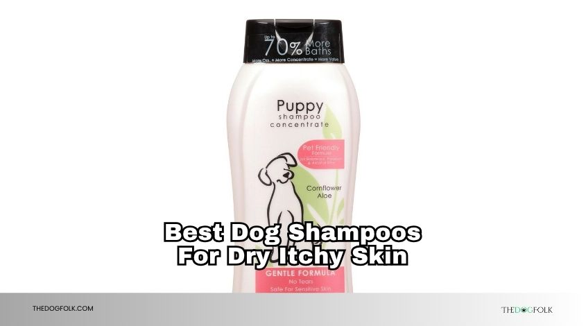 best dog shampoos for dry itchy skin