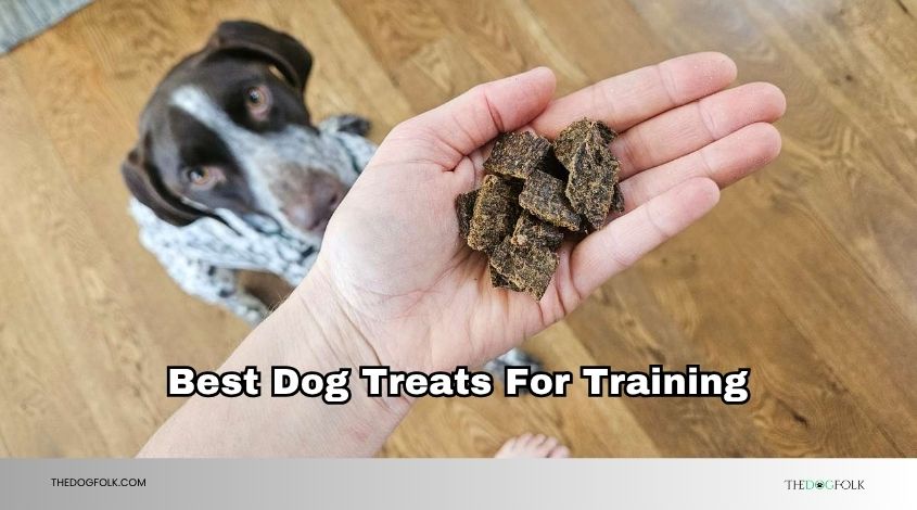 best dog treats for training