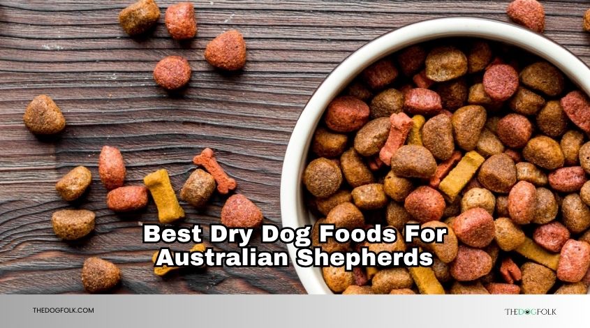 best dry dog foods for australian shepherds