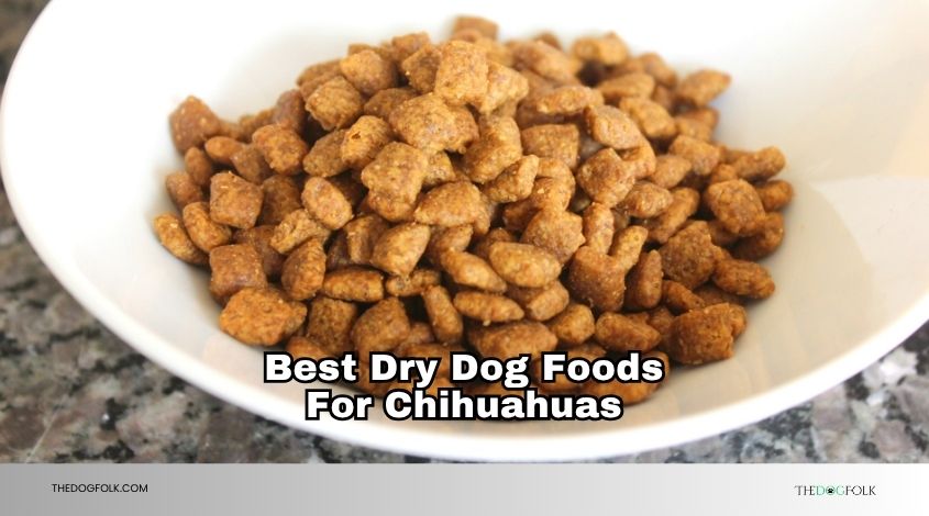 best dry dog foods for chihuahuas