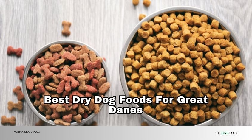 best dry dog foods for great danes