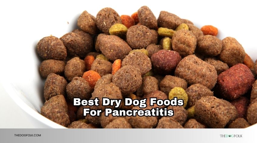 best dry dog foods for pancreatitis