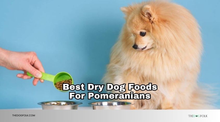 best dry dog foods for pomeranians