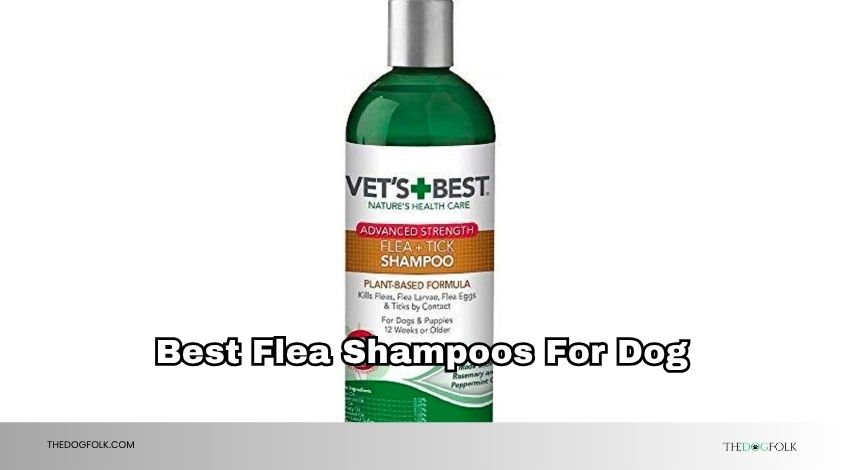 best flea shampoos for dog