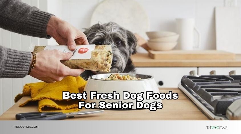best fresh dog foods for senior dogs