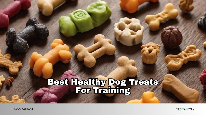 best healthy dog treats for training