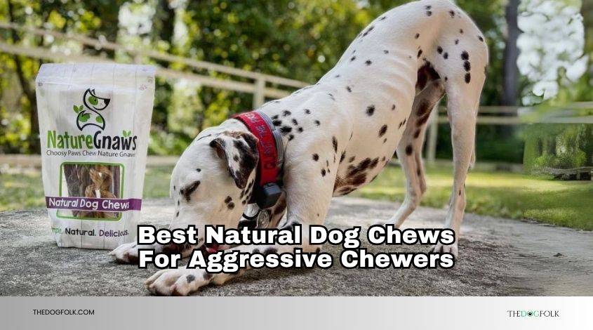 best natural dog chews for aggressive chewers
