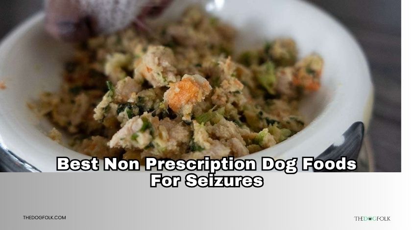 best non prescription dog foods for seizures