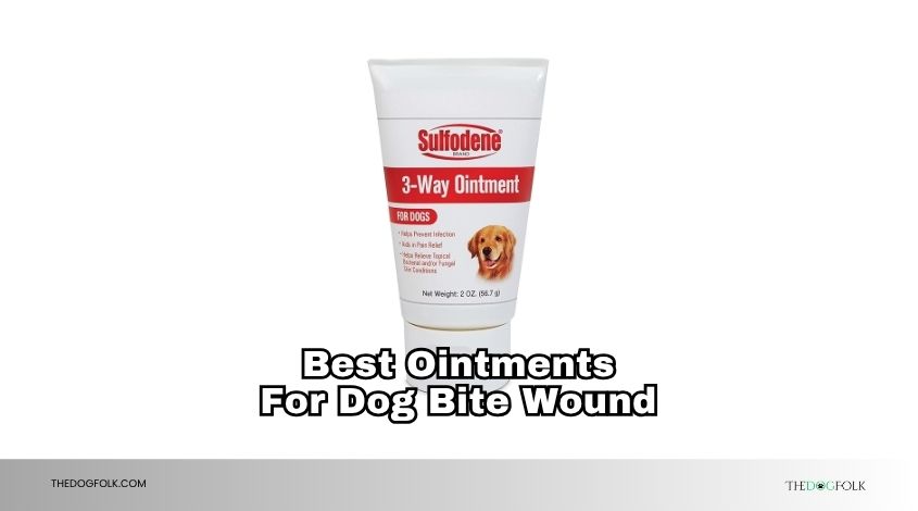 best ointments for dog bite wound
