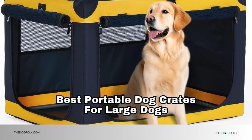 best portable dog crates for large dogs