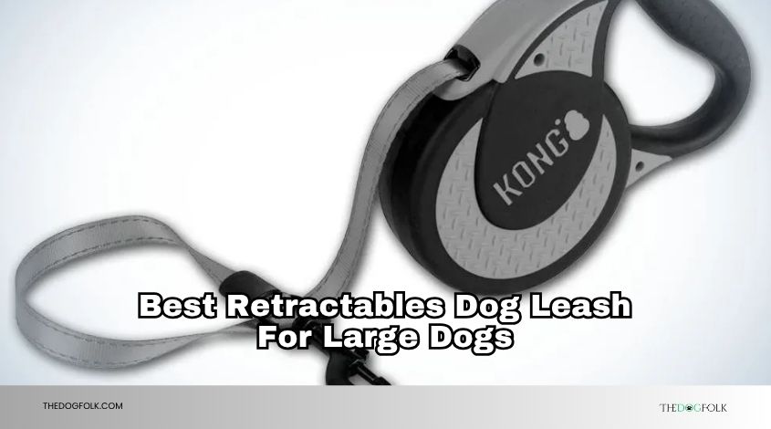 best retractables dog leash for large dogs