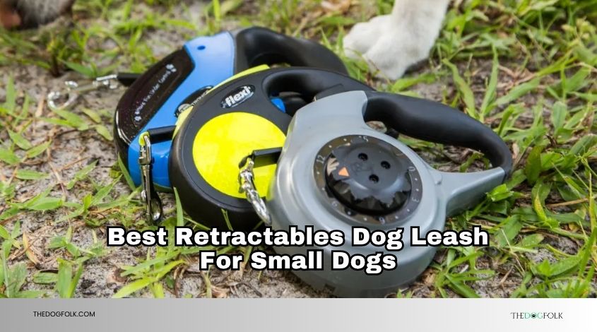best retractables dog leash for small dogs