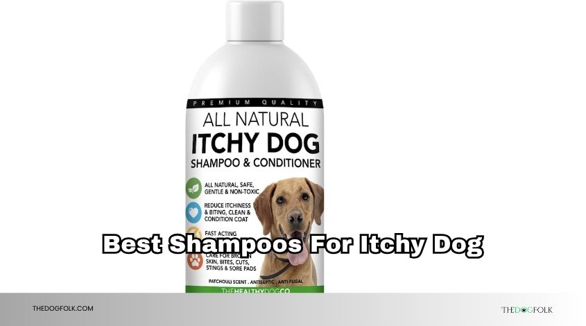 best shampoos for itchy dog