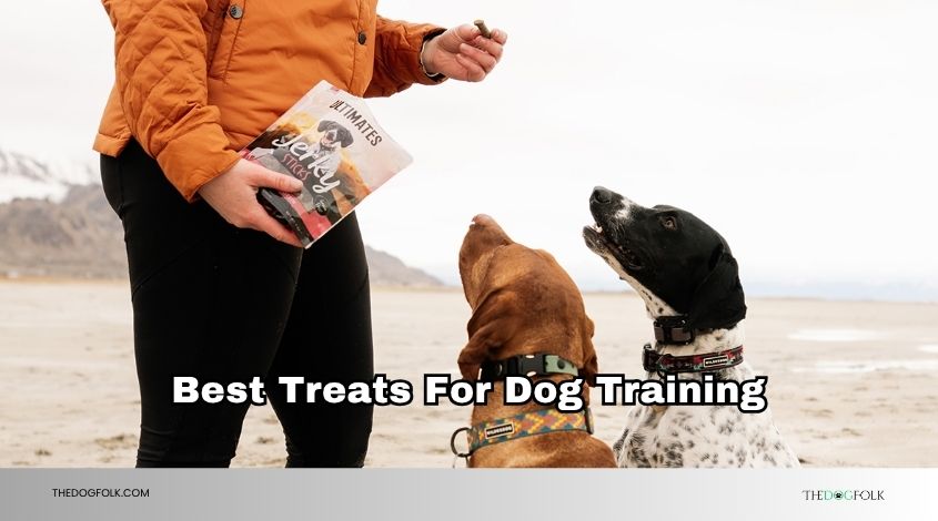best treats for dog training