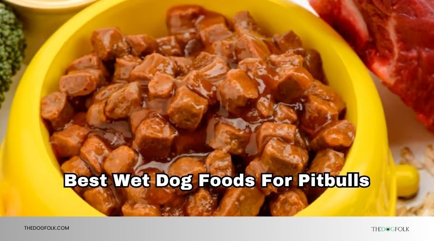 best wet dog foods for pitbulls