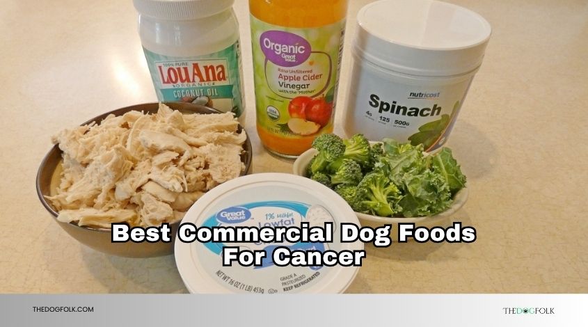 best commercial dog foods for cancer
