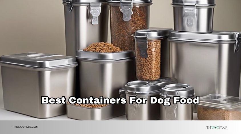 best containers for dog food