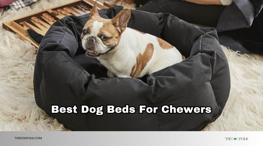best dog beds for chewers