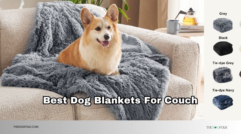 best dog blankets for couch