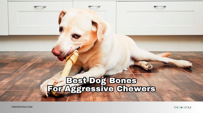 best dog bones for aggressive chewers