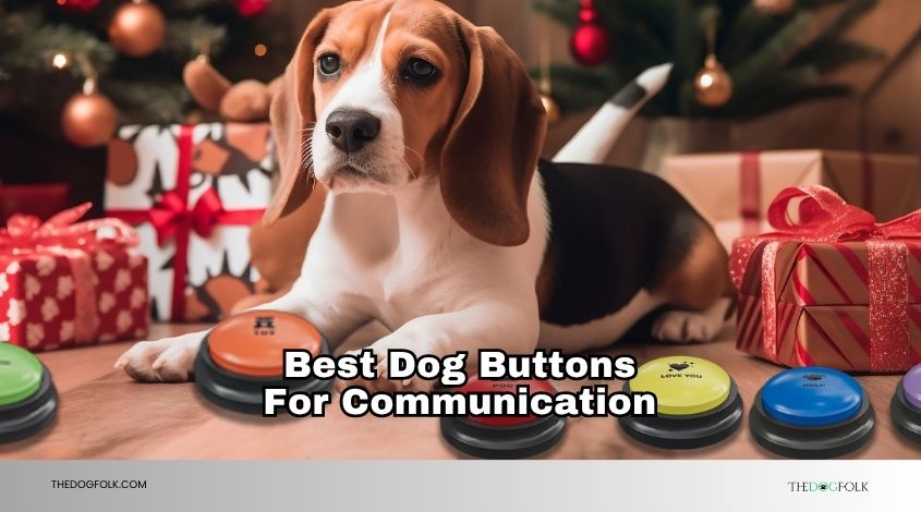 best dog buttons for communication