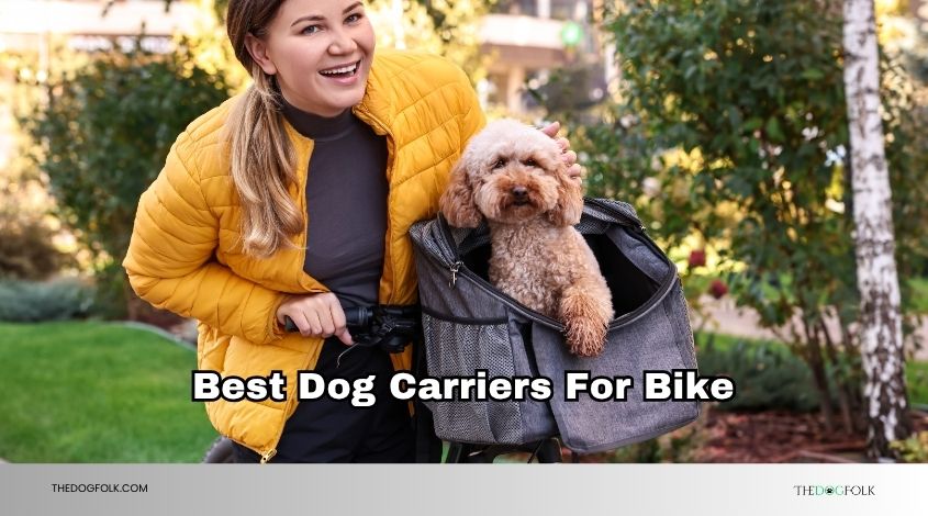 best dog carriers for bike