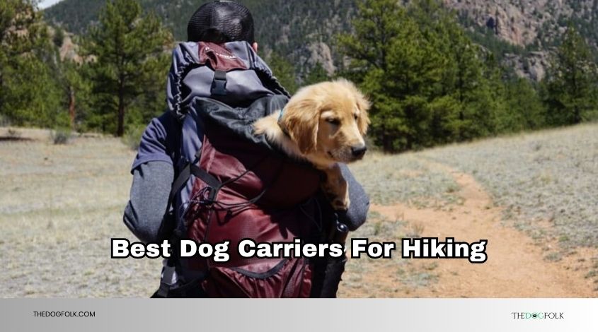 best dog carriers for hiking