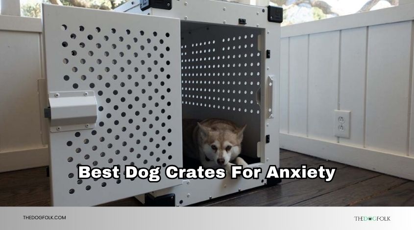 best dog crates for anxiety
