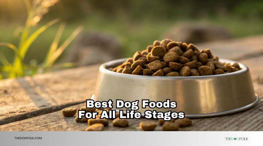 best dog foods for all life stages