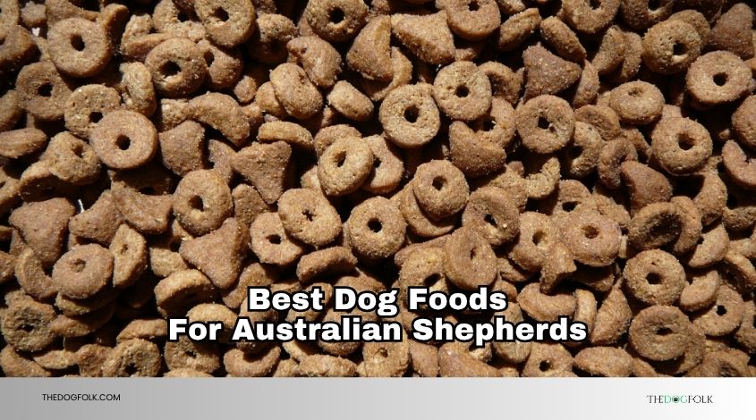 best dog foods for australian shepherds