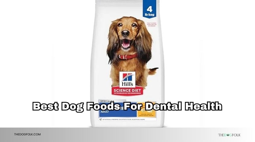 best dog foods for dental health