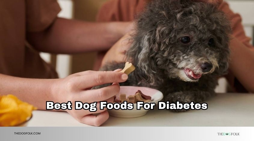 best dog foods for diabetes