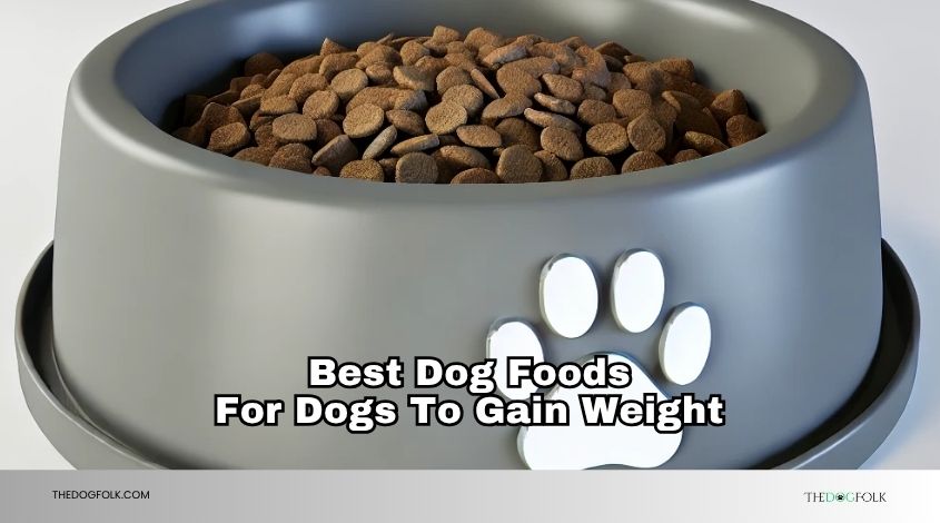 best dog foods for dogs to gain weight