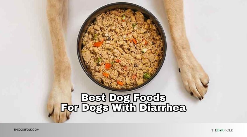 best dog foods for dogs with diarrhea