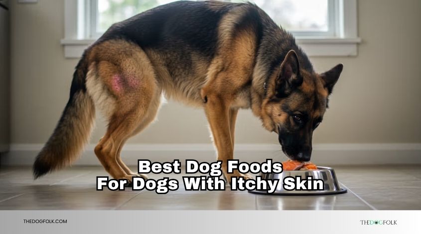best dog foods for dogs with itchy skin