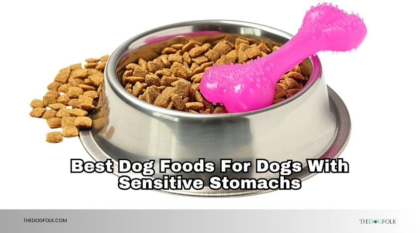 best dog foods for dogs with sensitive stomachs