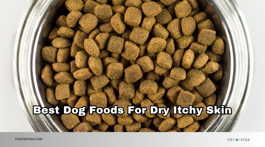 best dog foods for dry itchy skin