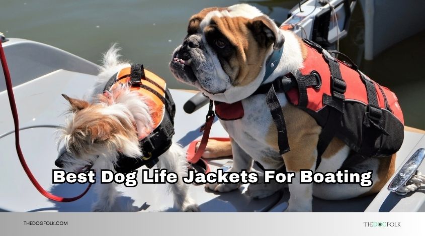 best dog life jackets for boating