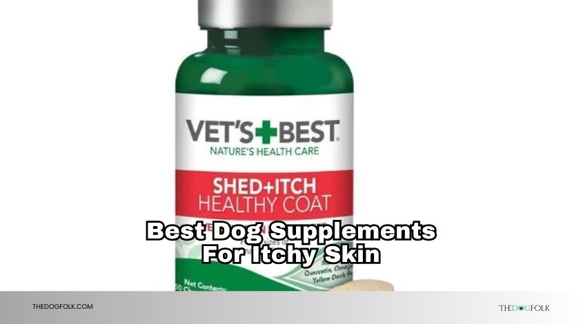 best dog supplements for itchy skin