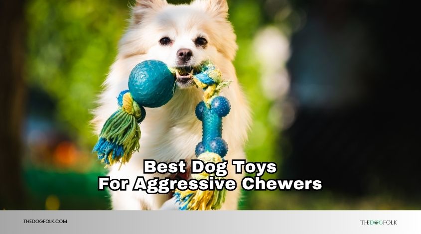 best dog toys for aggressive chewers