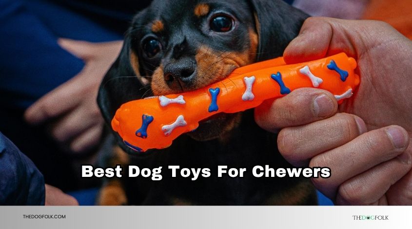 best dog toys for chewers