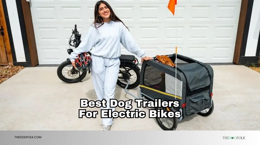 best dog trailers for electric bikes