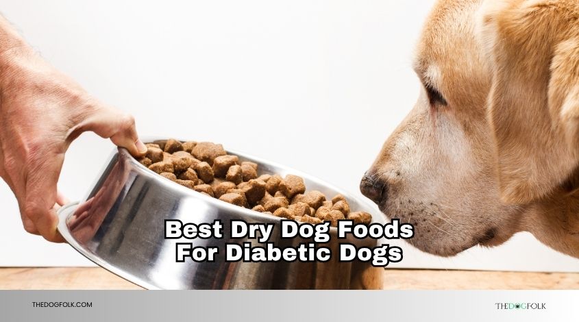 best dry dog foods for diabetic dogs