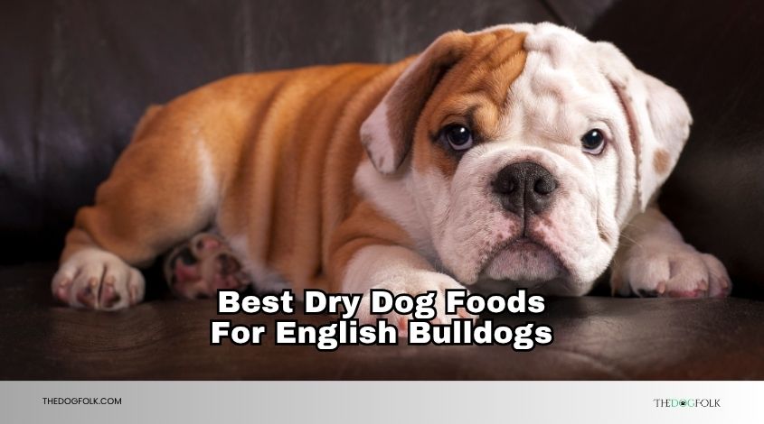 best dry dog foods for english bulldogs